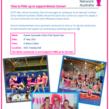 Pink Day Fundraiser